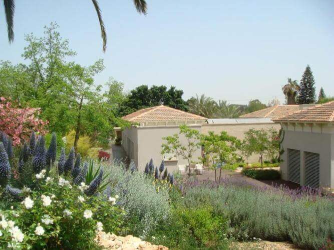 עיצוב ופיתוח גינות